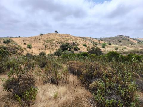 TERRENO COM 41.760 M2 - COM POSSIBILIDADE DE CONSTRUIR APOIO AGRICOLA - PISA BARRO - EM CASTRO MARIM - ALGARVE