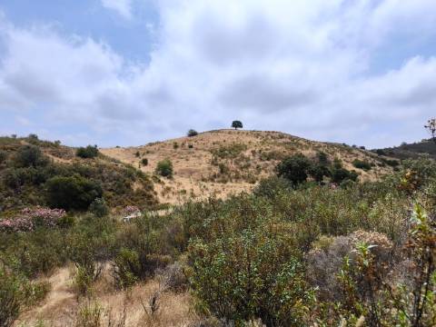 TERRENO COM 41.760 M2 - COM POSSIBILIDADE DE CONSTRUIR APOIO AGRICOLA - PISA BARRO - EM CASTRO MARIM - ALGARVE