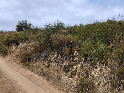 TERRENO COM 41.760 M2 - COM POSSIBILIDADE DE CONSTRUIR APOIO AGRICOLA - PISA BARRO - EM CASTRO MARIM - ALGARVE