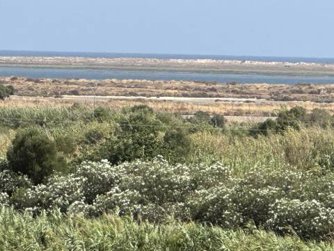 Armazém/Escritórios de grandes dimensões!
Excelente oportunidade para empresa de distribuição/logística ou ninho de
empresas!