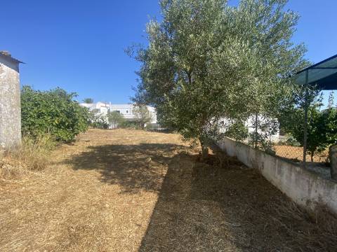 Moradia com terreno e varios anexos - 1000m2 - Moncarapacho e Fuzeta - Olhão