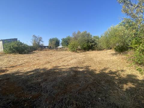 Moradia com terreno e varios anexos - 1000m2 - Moncarapacho e Fuzeta - Olhão