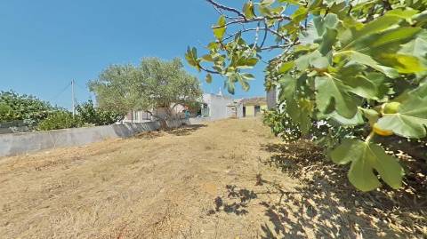 Moradia com terreno e varios anexos - 1000m2 - Moncarapacho e Fuzeta - Olhão