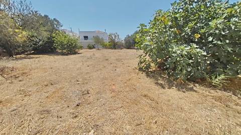 Moradia com terreno e varios anexos - 1000m2 - Moncarapacho e Fuzeta - Olhão