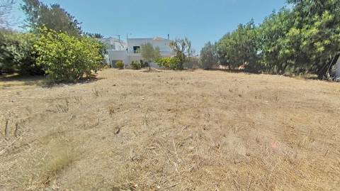 Moradia com terreno e varios anexos - 1000m2 - Moncarapacho e Fuzeta - Olhão