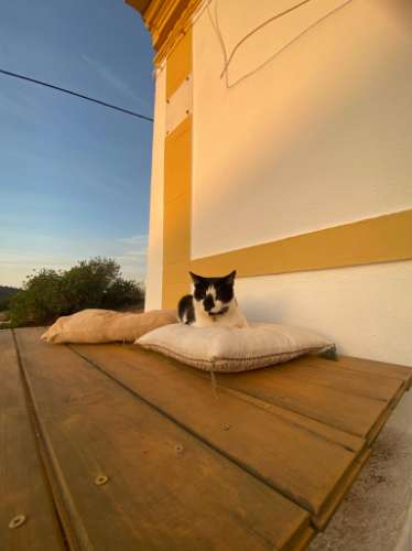 MORADIA DE TRÊS QUARTOS COM UM ANEXO - EM CASA BRANCA - CASTRO MARIM - ALGARVE