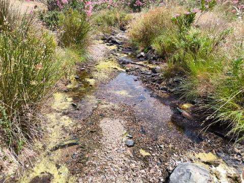 TERRENO COM 24.760 M2 - CORTE ANTÓNIO MARTINS - VILA NOVA DE CACELA - VRSA
