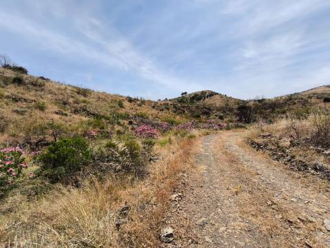 TERRENO COM 24.760 M2 - CORTE ANTÓNIO MARTINS - VILA NOVA DE CACELA - VRSA