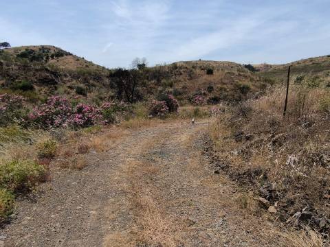 TERRENO COM 24.760 M2 - CORTE ANTÓNIO MARTINS - VILA NOVA DE CACELA - VRSA