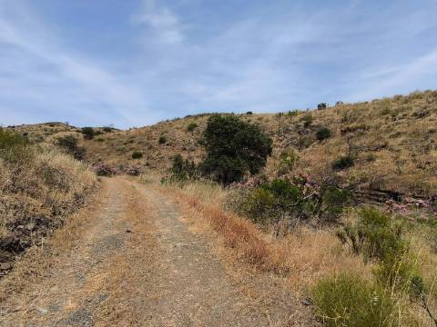 TERRENO COM 24.760 M2 - CORTE ANTÓNIO MARTINS - VILA NOVA DE CACELA - VRSA