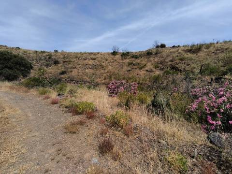 TERRENO COM 24.760 M2 - CORTE ANTÓNIO MARTINS - VILA NOVA DE CACELA - VRSA
