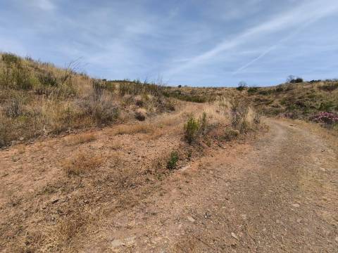 TERRENO COM 24.760 M2 - CORTE ANTÓNIO MARTINS - VILA NOVA DE CACELA - VRSA