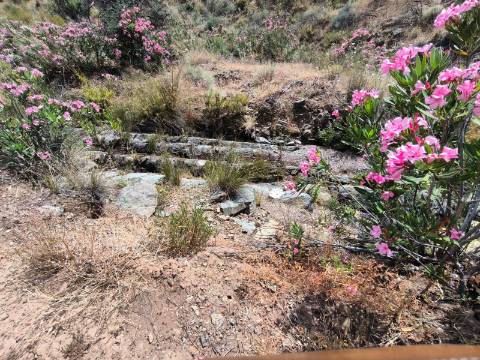 TERRENO COM 24.760 M2 - CORTE ANTÓNIO MARTINS - VILA NOVA DE CACELA - VRSA