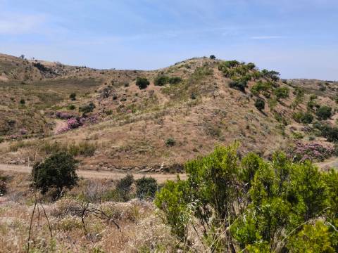 TERRENO COM 24.760 M2 - CORTE ANTÓNIO MARTINS - VILA NOVA DE CACELA - VRSA