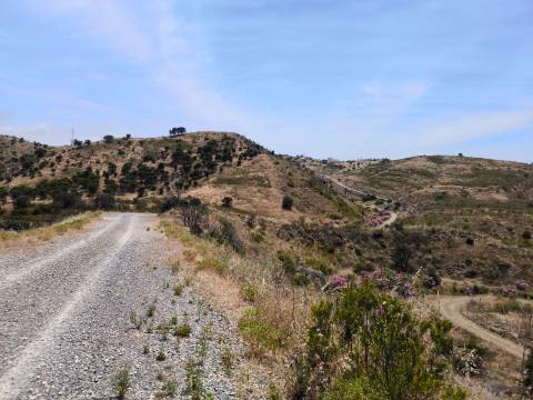 TERRENO COM 24.760 M2 - CORTE ANTÓNIO MARTINS - VILA NOVA DE CACELA - VRSA