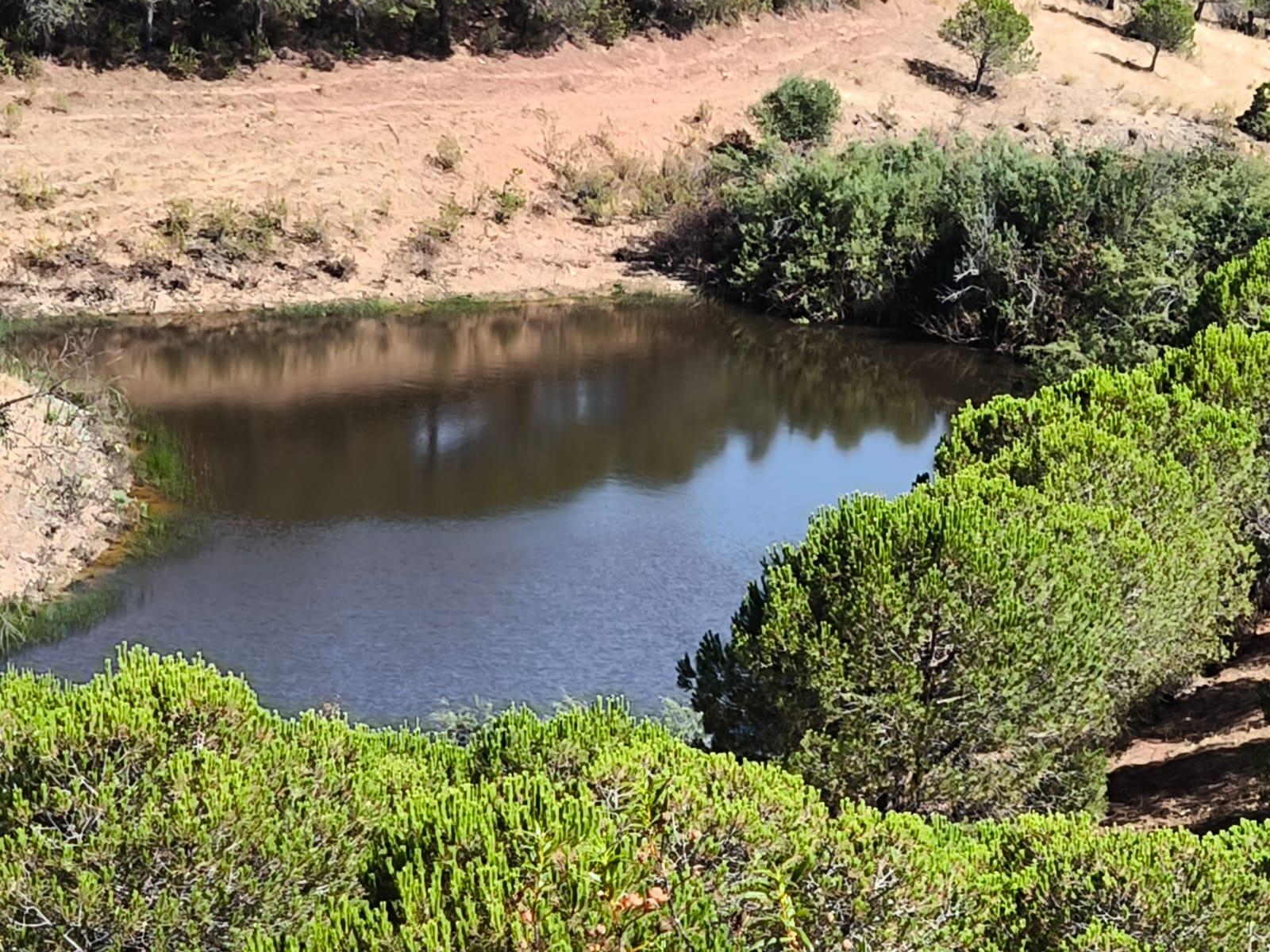 TERRENO COM 11 HECTARES - VISTA MAR - LAGO PRIVADO - EM VALE DAS ZORRAS - CASTRO MARIM - ALGARVE