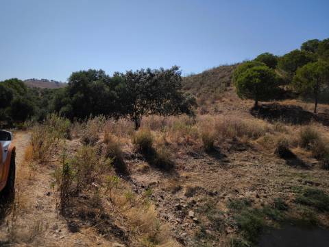 TERRENO COM 11 HECTARES - VISTA MAR - LAGO PRIVADO - EM VALE DAS ZORRAS - CASTRO MARIM - ALGARVE