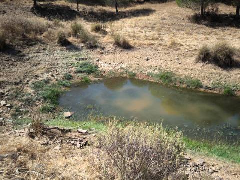 TERRENO COM 11 HECTARES - VISTA MAR - LAGO PRIVADO - EM VALE DAS ZORRAS - CASTRO MARIM - ALGARVE
