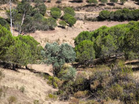 TERRENO COM 11 HECTARES - VISTA MAR - LAGO PRIVADO - EM VALE DAS ZORRAS - CASTRO MARIM - ALGARVE