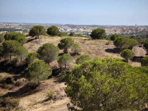 TERRENO COM 11 HECTARES - VISTA MAR - LAGO PRIVADO - EM VALE DAS ZORRAS - CASTRO MARIM - ALGARVE