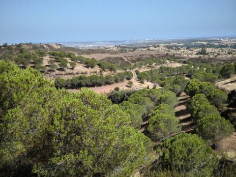 TERRENO COM 11 HECTARES - VISTA MAR - LAGO PRIVADO - EM VALE DAS ZORRAS - CASTRO MARIM - ALGARVE