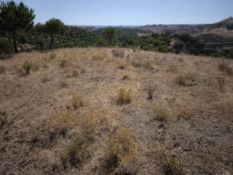 TERRENO COM 11 HECTARES - VISTA MAR - LAGO PRIVADO - EM VALE DAS ZORRAS - CASTRO MARIM - ALGARVE