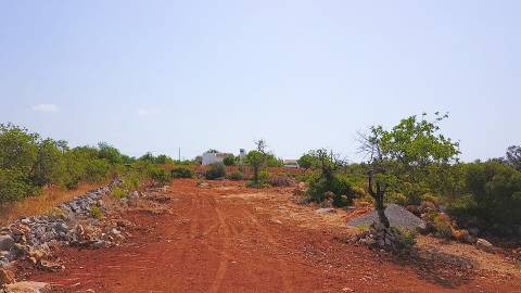 Terreno Rústico com Eletricidade e Furo