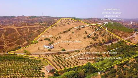 Herdade com 8,7 Hectares - Excelente Localização
