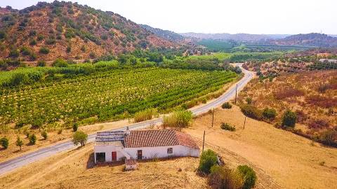 Herdade com 8,7 Hectares - Excelente Localização