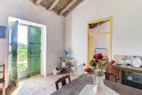 Herdade com 8,7 Hectares - Excelente Localização