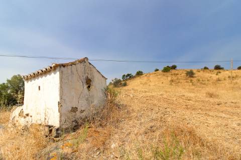 Herdade com 8,7 Hectares - Excelente Localização