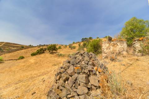 Herdade com 8,7 Hectares - Excelente Localização