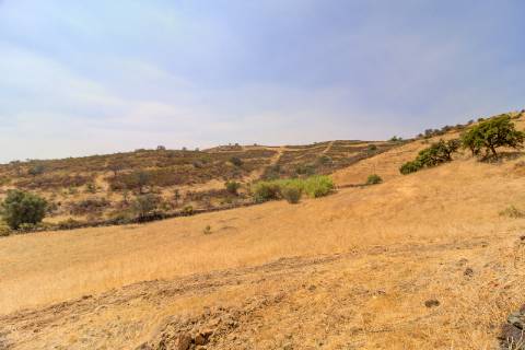 Herdade com 8,7 Hectares - Excelente Localização