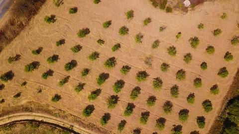 Herdade com 8,7 Hectares - Excelente Localização