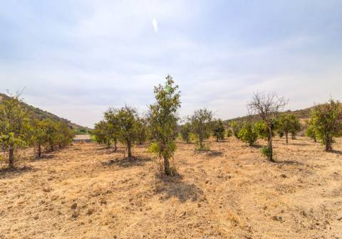 Herdade com 8,7 Hectares - Excelente Localização