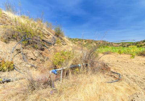 Herdade com 8,7 Hectares - Excelente Localização
