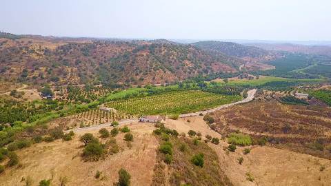 Herdade com 8,7 Hectares - Excelente Localização