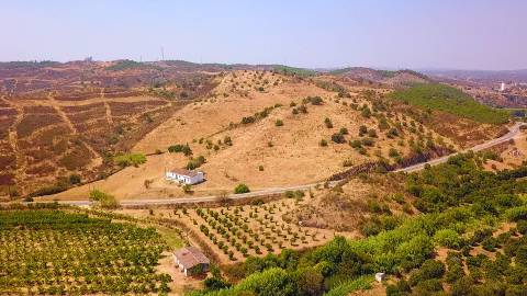 Herdade com 8,7 Hectares - Excelente Localização