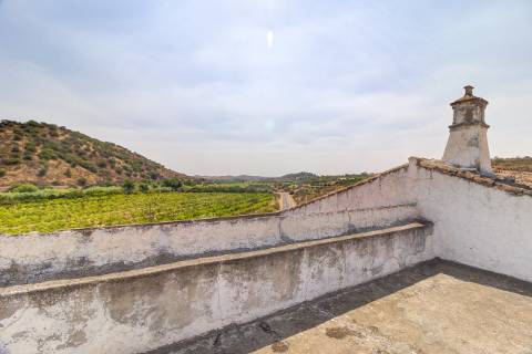 Herdade com 8,7 Hectares - Excelente Localização