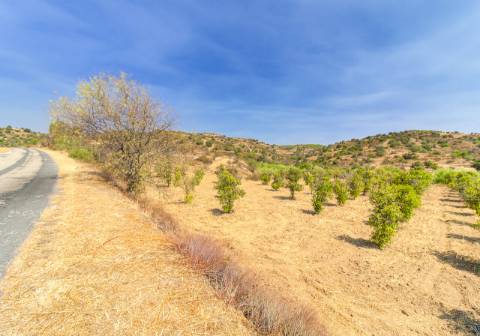 Herdade com 8,7 Hectares - Excelente Localização