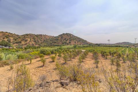 Herdade com 8,7 Hectares - Excelente Localização