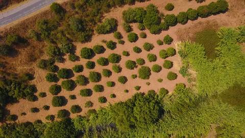 Herdade com 8,7 Hectares - Excelente Localização