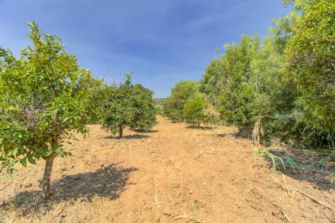 Herdade com 8,7 Hectares - Excelente Localização