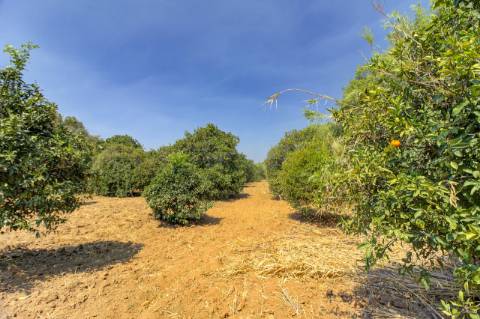 Herdade com 8,7 Hectares - Excelente Localização