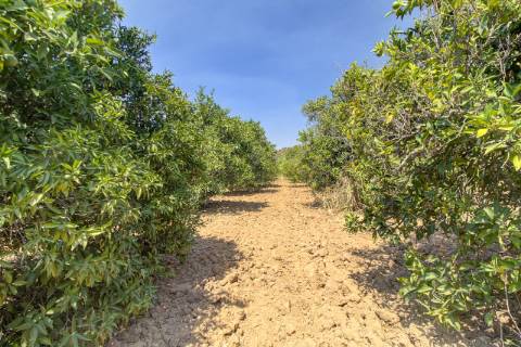 Herdade com 8,7 Hectares - Excelente Localização