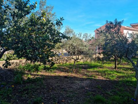 Moradia para arrendamento em Altura