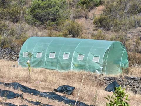 TERRENO RUSTICO COM 27.260 M2 - COM POÇO - COM POSSIBILIDADE DE CONSTRUÇÃO DE APOIO AGRICOLA - EM ODELEITE - CASTRO MARIM - ALGARVE