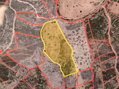 TERRENO RUSTICO COM 27.260 M2 - COM POÇO - COM POSSIBILIDADE DE CONSTRUÇÃO DE APOIO AGRICOLA - EM ODELEITE - CASTRO MARIM - ALGARVE