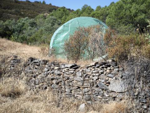 TERRENO RUSTICO COM 27.260 M2 - COM POÇO - COM POSSIBILIDADE DE CONSTRUÇÃO DE APOIO AGRICOLA - EM ODELEITE - CASTRO MARIM - ALGARVE