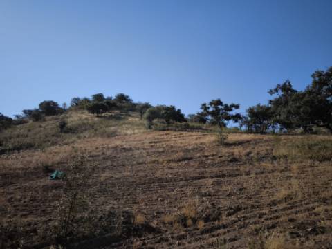 TERRENO RUSTICO COM 27.260 M2 - COM POÇO - COM POSSIBILIDADE DE CONSTRUÇÃO DE APOIO AGRICOLA - EM ODELEITE - CASTRO MARIM - ALGARVE